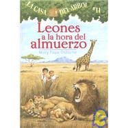 Leones a La Hora Del Almuerzo / Lions at LunchTime