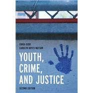 Youth, Crime, and Justice Learning through Cases