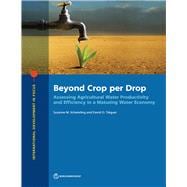 Beyond Crop per Drop Assessing Agricultural Water Productivity and Efficiency in a Maturing Water Economy