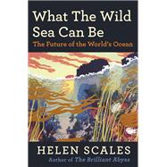 What the Wild Sea Can Be