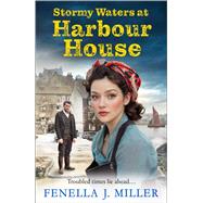 Stormy Waters at Harbour House