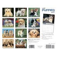 Just Puppies 2007 Calendar