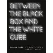 Between the Black Box and the White Cube