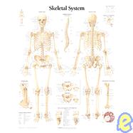 The Skeletal System chart Wall Chart