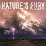 Nature's Fury 2019 Calendar