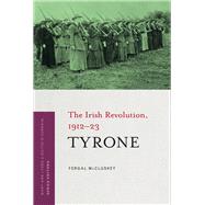 Tyrone The Irish Revolution, 1912-23