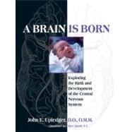 A Brain Is Born Exploring the Birth and Development of the Central Nervous System