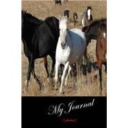 My Journal Wild Horses