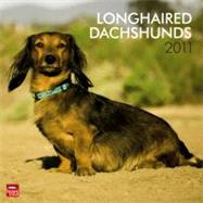 Longhaired Dachshunds 2011 Calendar