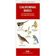 California Birds: An Introduction to Familiar Species