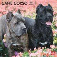 Cane Corso 2011 Calendar