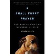 A Small Furry Prayer Dog Rescue and the Meaning of Life