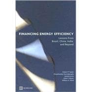 Financing Energy Efficiency : Lessons from Brazil, China, India, and Beyond