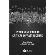 Cyber Resilience in Critical Infrastructure