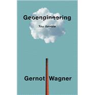 Geoengineering The Gamble