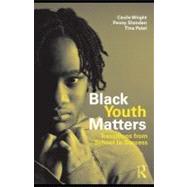Black Youth Matters : Transitions from School to Success