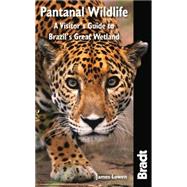 Pantanal Wildlife A Visitor's Guide To Brazil's Great Wetland