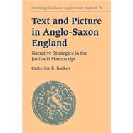 Text and Picture in Anglo-Saxon England: Narrative Strategies in the Junius 11 Manuscript