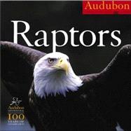 Audubon Raptors 2007 Calendar