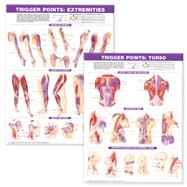 Trigger Point Chart Set: Torso & Extremities Paper