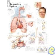 Respiratory System chart Laminated Wall Chart