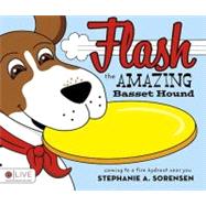 Flash : The Amazing Basset Hound