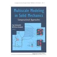 Multiscale Modeling in Solid Mechanics : Computational Approaches