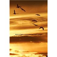 Birds in Flight at Sunset