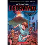 I Survived the Destruction of Pompeii, AD 79 (I Survived Graphic Novel #10)