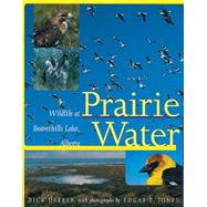 Prairie Water