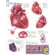 The Heart chart Wall Chart
