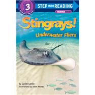 Stingrays! Underwater Fliers