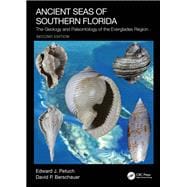 Ancient Seas of Southern Florida