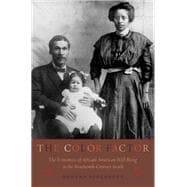 The Color Factor The Economics of African-American Well-Being in the Nineteenth-Century South