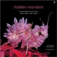 Hidden Wonders The Small 5005 of Southern Africa: Insects, Spiders, Frogs, Reptiles