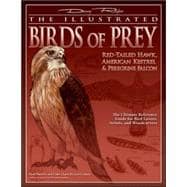 The Illustrated Birds of Prey: Red-Tailed Hawk, American Kestrel & Peregrine Falcon; The Ultimate Reference Guide for Bird Lovers, Artists, and Woodcarvers