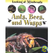 Ants, Bees, and Wasps