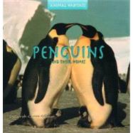 Penguins and Their Homes