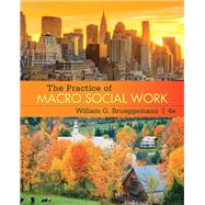 The Practice of Macro Social Work