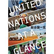 United Nations at a Glance (Chinese language)