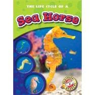 The Life Cycle of a Sea Horse