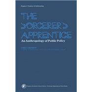 Sorcerer's Apprentice : An Anthropology of Public Policy