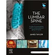 Anatomy of the Lumbar Spine