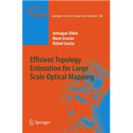 Efficient Topology Estimation for Large Scale Optical Mapping