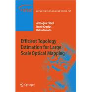 Efficient Topology Estimation for Large Scale Optical Mapping