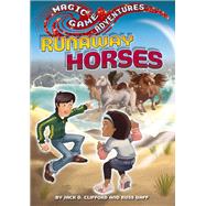 Magic Game Adventures: Runaway Horses
