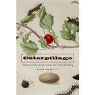 Caterpillage Reflections on Seventeenth-Century Dutch Still Life Painting