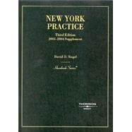 New York Practice, 2003-2004