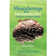 Meanderings of a Soul Drenched Mind: Poems by Andrew Packard