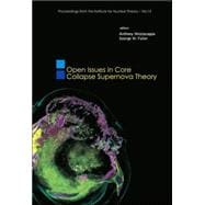 Open Issues in Core Collapse Supernova Theory